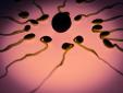 sperm health-related facts and tips anyone should know
